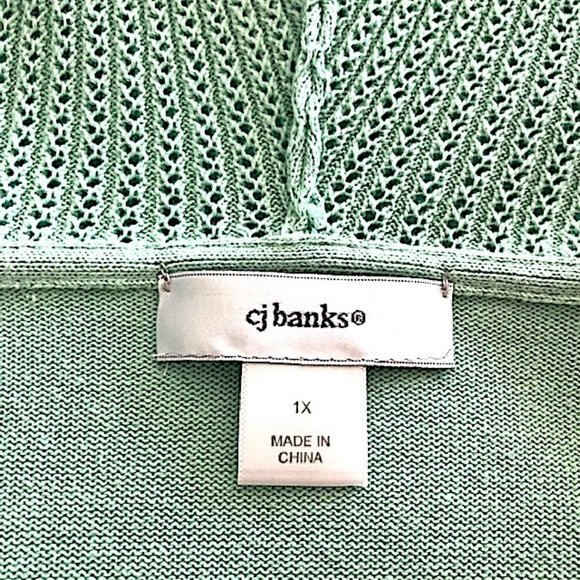 Mint Green CJ Banks Plus Size Hooded Sweater - Picture 8 of 10